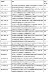 Figure BDA0000059233380000851