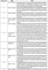 Figure BDA0003246179980001241