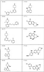 Figure JPOXMLDOC01-appb-T000011