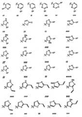 Figure BPA00001280125600461