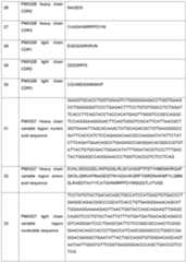 Figure imgf000096_0001