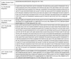 Figure imgf000074_0001