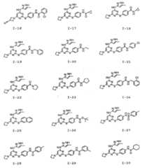 Figure 112008039273174-PCT00029