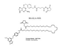 Figure imgf000076_0001