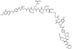 Figure imgf000101_0002