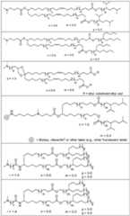 Figure imgf000127_0001