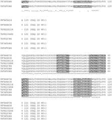 Figure BDA0004113341620000491