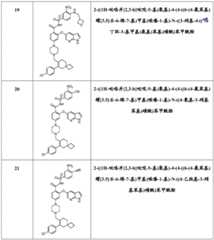 Figure BDA0002138039050000251