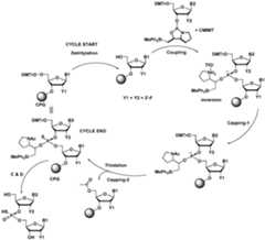 Figure imgf000188_0001