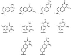 Figure imgf000009_0001