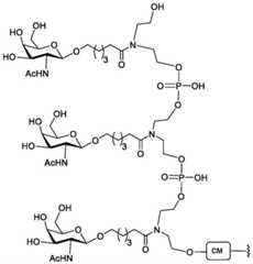 Figure BDA0003357312860006751