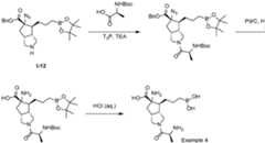 Figure imgf000135_0001