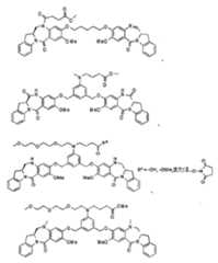 Figure 2022009073000019