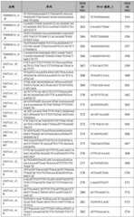 Figure BDA0002379404260001181