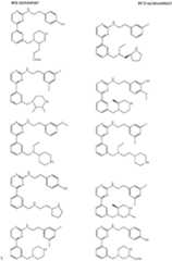 Figure imgf000129_0001