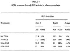 Figure imgf000025_0001