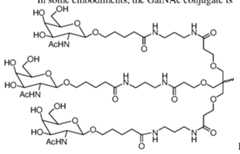 Figure imgf000123_0001