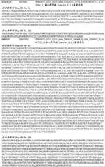 Figure BDA0003206688030000261