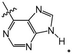 Figure BDA0001937647270000073