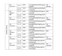 Figure 2023521094000260