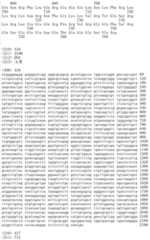 Figure IDA00002091897103581