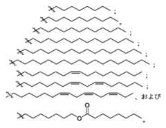 Figure 0007488193000028