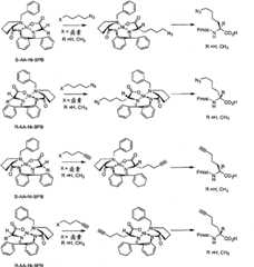 Figure BPA00001373600300461