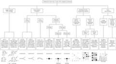 Figure US06825009-20041130-C00001