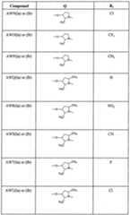 Figure imgf000107_0001