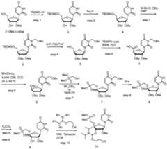 Figure imgf000081_0001