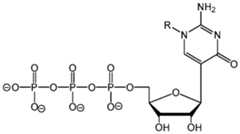 Figure imgf000744_0002