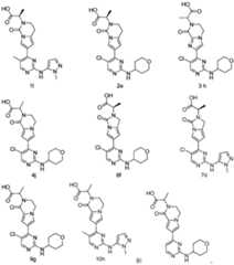 Figure PCTCN2020091695-appb-100010