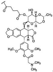 Figure imgf000012_0001