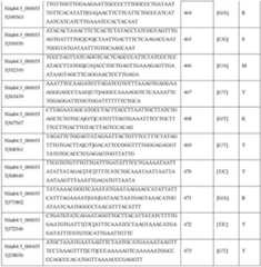 Figure DEST_PATH_IMAGE026