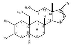 Figure 112021066704426-pat00033
