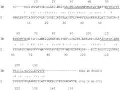 Figure BDA0004097668430000642