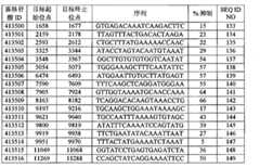 Figure BPA00001388922800462