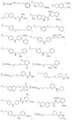 Figure imgf000025_0001