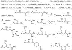 Figure imgf000007_0001