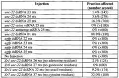 Figure imgf000043_0001
