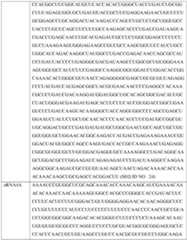 Figure imgf000381_0001