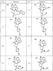 Figure BPA00001446920500831