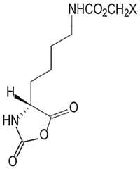 Figure imgf000024_0002