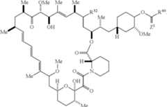 Figure US12048749-20240730-C00448