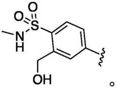 Figure FDA0002935257540000144