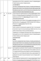 Figure BDA0004177795530000341