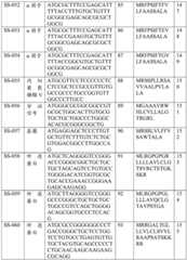 Figure BDA0002572923940000881