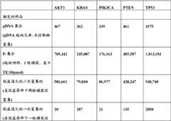 Figure BDA0000059233380000781