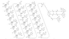 Figure imgf000112_0001