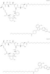 Figure US11364300-20220621-C00331